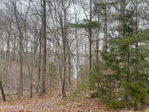 Fairfield Glade Lake View Lot