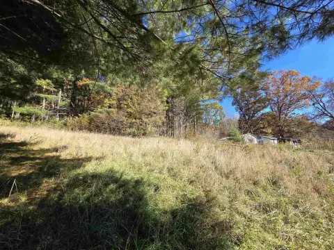 Hunting Land with Timber