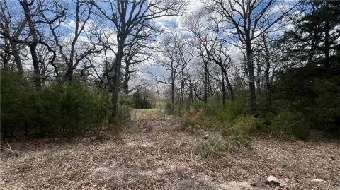 5.06 Acres in Bryan, TX