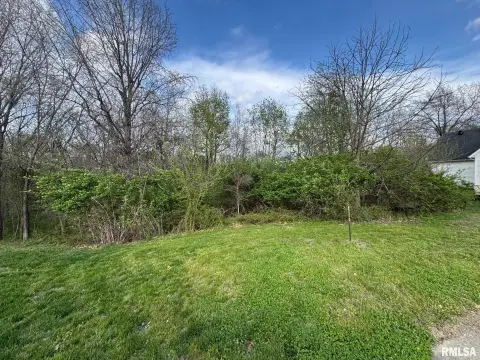 Residential Land in Rochester, IL