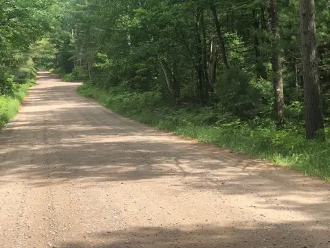 Wooded Northwoods Hunting Parcel