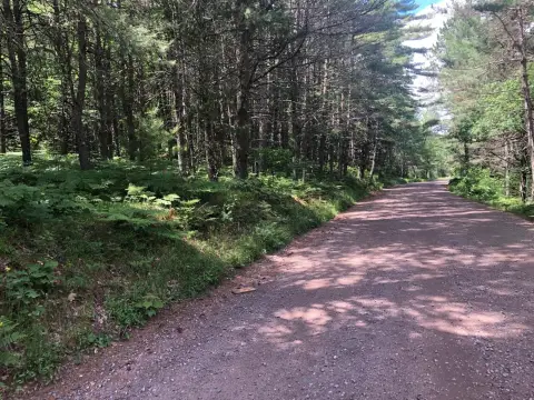Wooded Northwoods Recreation Land