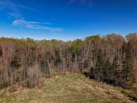 Timbered Hunting Land Parcel