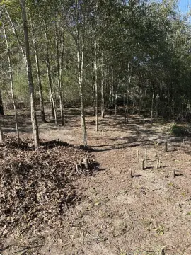 Residential Lot in Crestview, FL