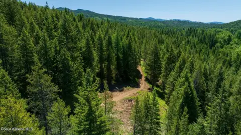 Timbered Residential-Ready Acreage