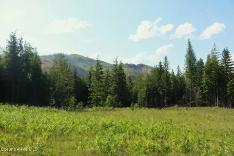 20 Acres with Mountain Views