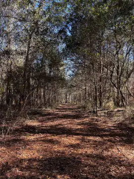 39 Acres in Quincy, Florida
