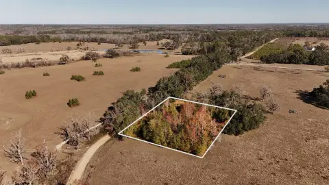 Residential Land in Greenville, Florida