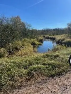 Recreational Hunting Land with River