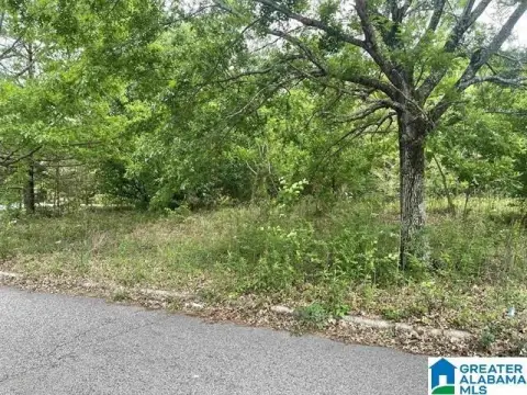 Vacant Land in Birmingham, AL