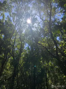 Monroe, NJ Buildable Land