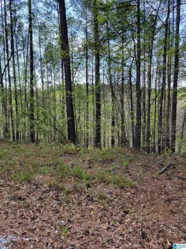 Lakefront Residential or Recreation Lot