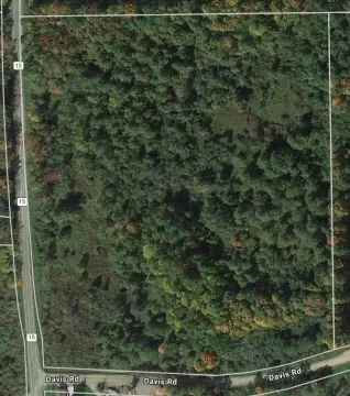 Managed Hunting Land