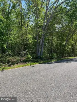 Wooded Lot in Buena Vista