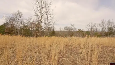 Gepp Acreage Near Lake Norfork