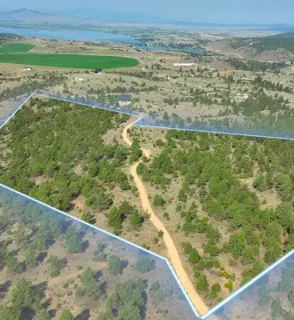 Timbered Land Near Hauser Lake
