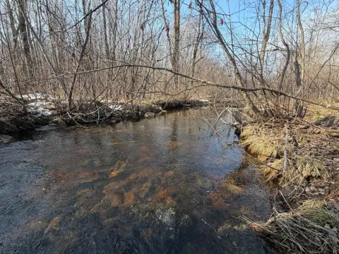 Wooded Recreational Land Acreage