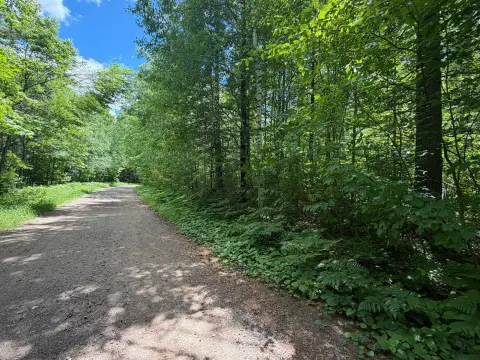 Level Building Lot in Rockwood Estates