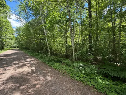 Level Timber-Forest Recreation Lot