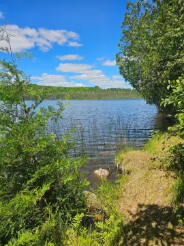 Lakefront Land with Small Cabin