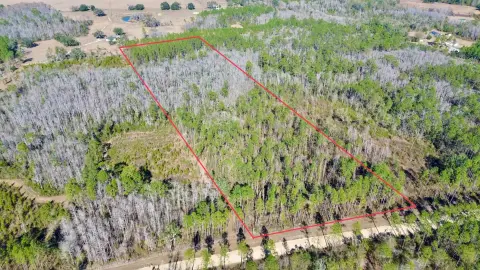 Greenville, FL Wooded Acreage