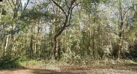 Residential Land in Tallahassee, FL