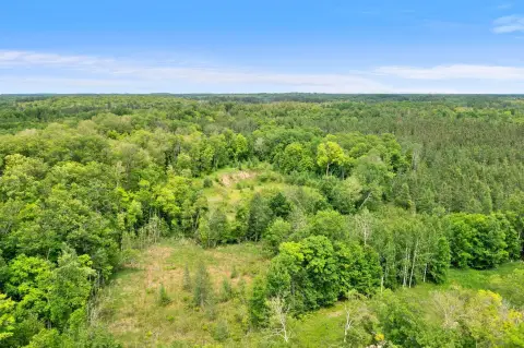 Wooded Hunting and Recreational Land