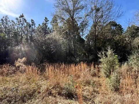 Secluded 16-Acre Land Parcel