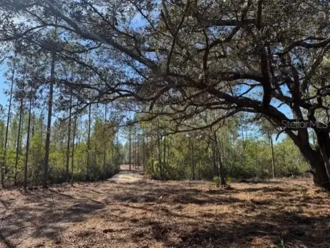 Marion County Land Opportunity