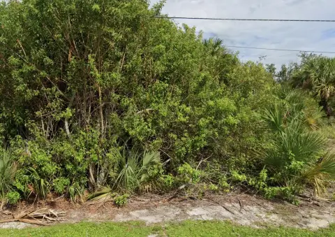 Residential Land in Vero Beach
