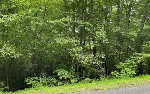 Wooded Lot in North Georgia