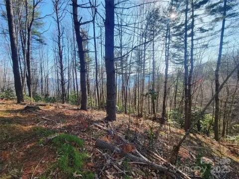 Waynesville Land with Mountain Views
