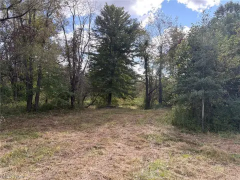 Wooded Land with Stream