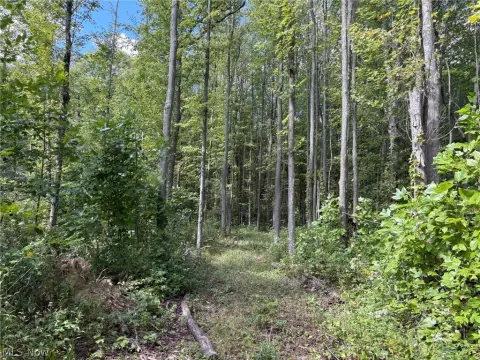 Wooded Land Parcels