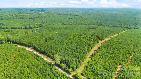 Hunting Land Tract with Creek Front
