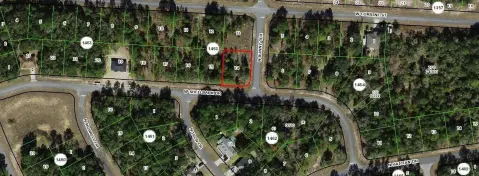 Citrus Springs Homesite For Sale