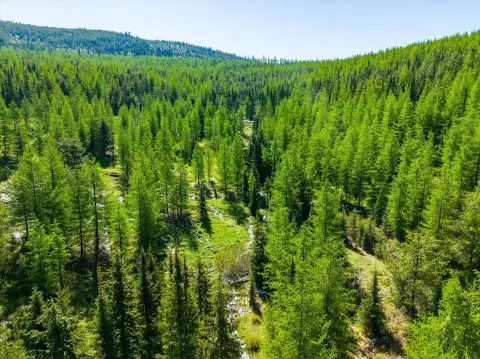 Heavily Treed Recreational Land