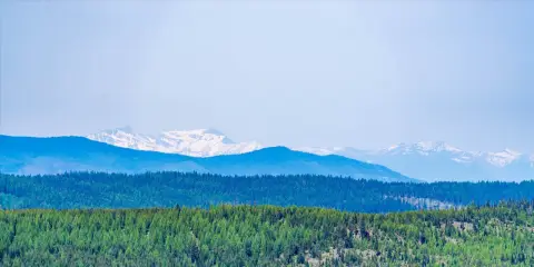 Heavily Treed Recreation Land