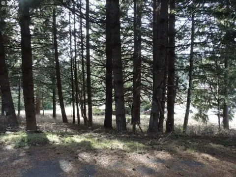 Treed Half-Acre Corner Parcel