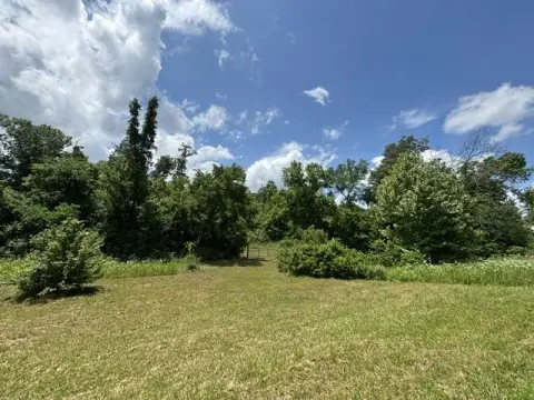 Rural Land Parcel with Mature Trees