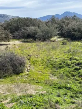 Gentle Rolling Acreage for Custom Homes