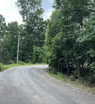 Wooded Lot in Bella Vista