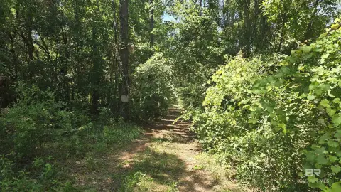 Silverhill Wooded Acreage with Creek