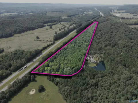 Pine-Covered Recreation Land