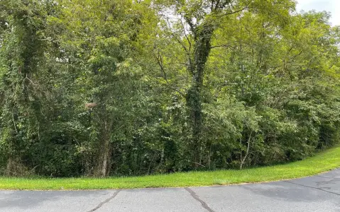 Hayesville NC Vacant Lot