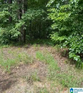 Residential Land in Lakeview, AL