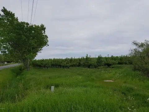Apple Farm with Corner Parcel