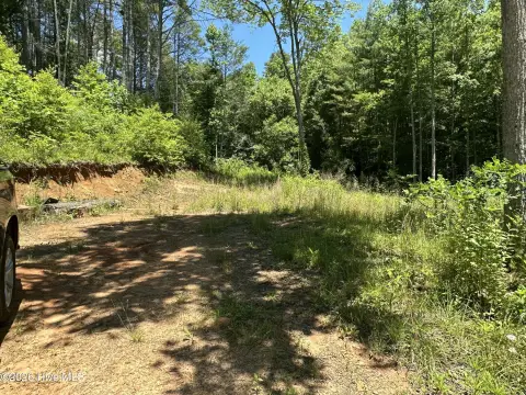 Wooded Development Land with Two Access Points