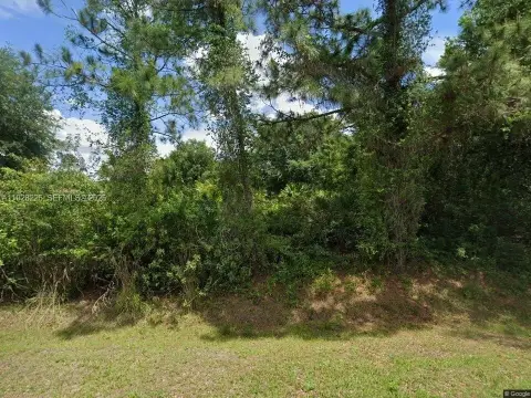Residential Lot in Lehigh Acres