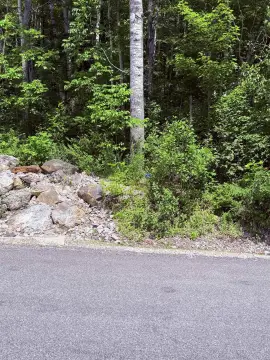 Corner Residential Lot with Utilities